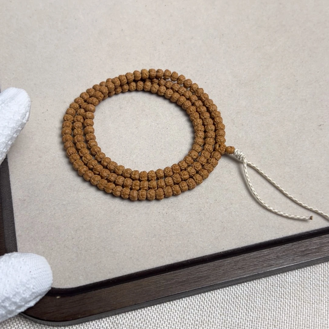 Z***。6.1五爪金龙原桩佛手