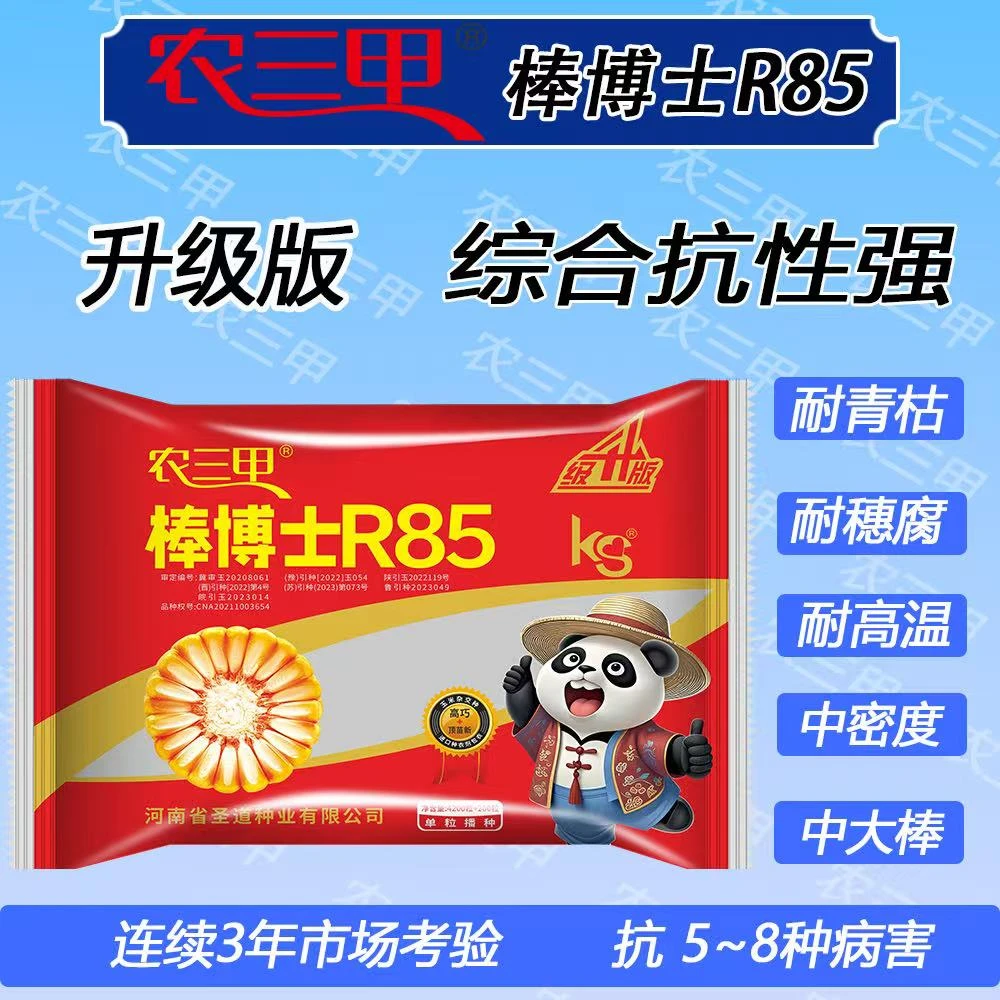棒博士R85 ks升级版抗锈病 抗穗腐  抗倒伏 耐高温 角质粮
