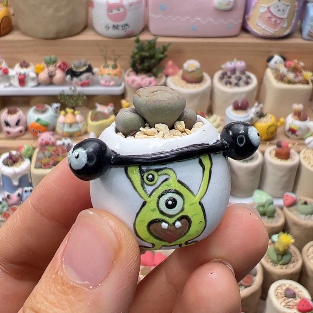 多肉植物70号红嘴