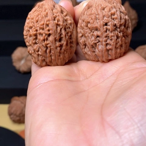 文玩核桃全品大蒜头尺35