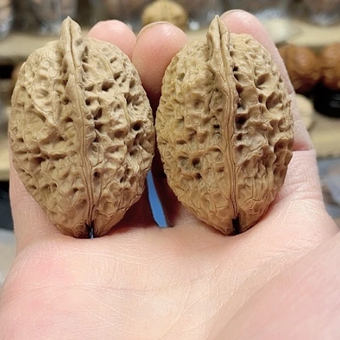 文玩核桃把件双节轮01号带彩35