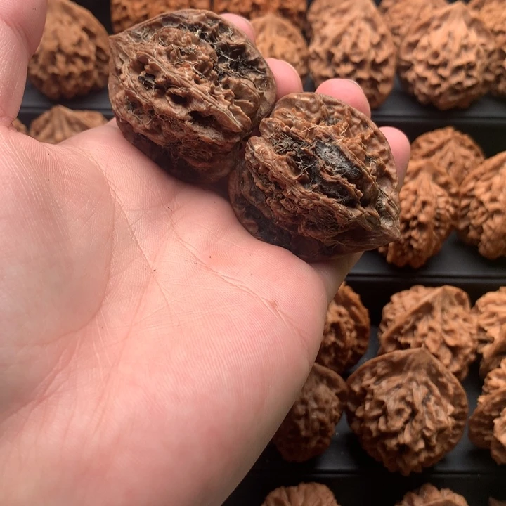 其他核桃观*海秦岭秦公子