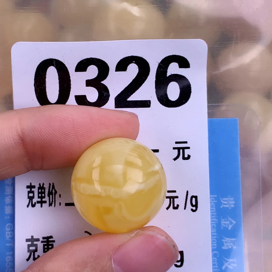 金珀未镶嵌珠宝奇石18.6 植物