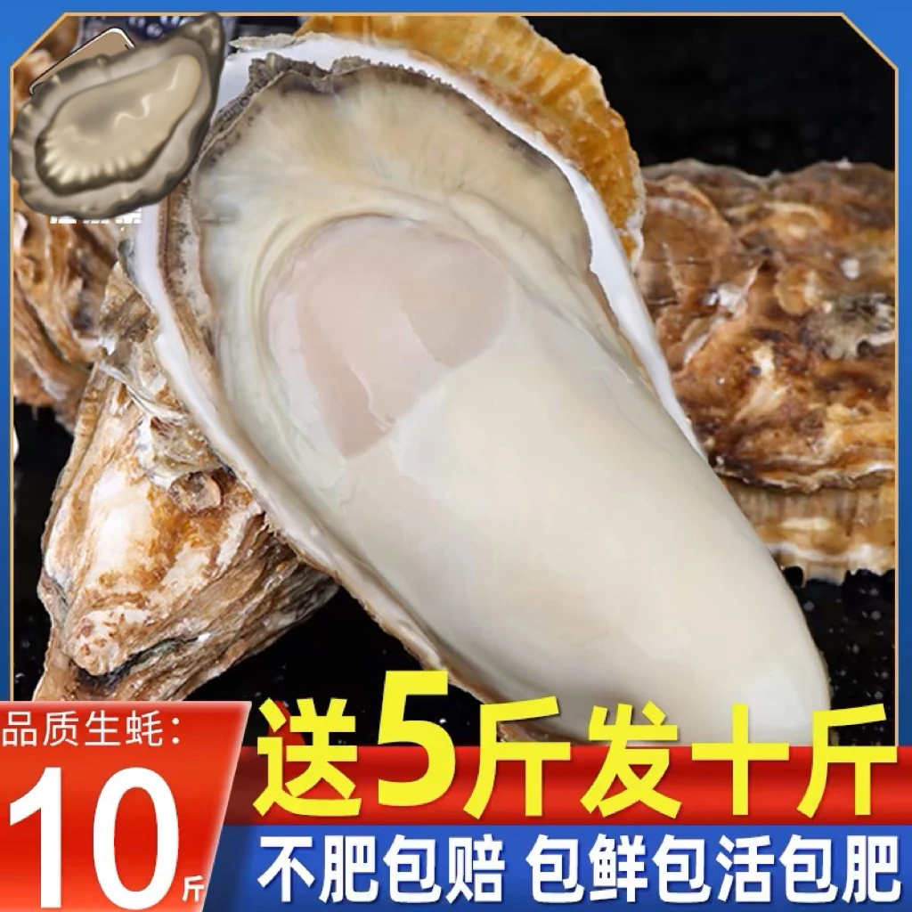 【5斤送5斤】4XL6XL大蚝正宗鲜活生蚝大牡蛎特大海蛎子海鲜水产