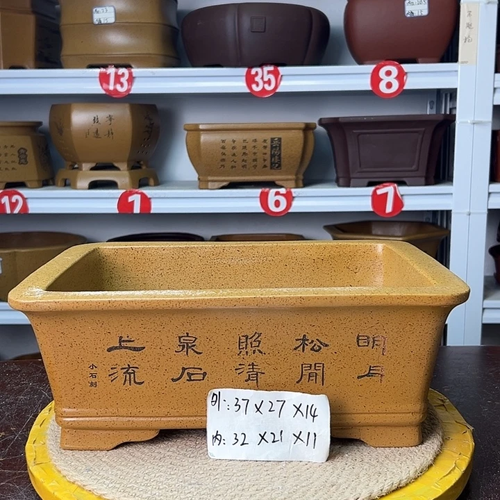 紫砂花盆你在干嘛