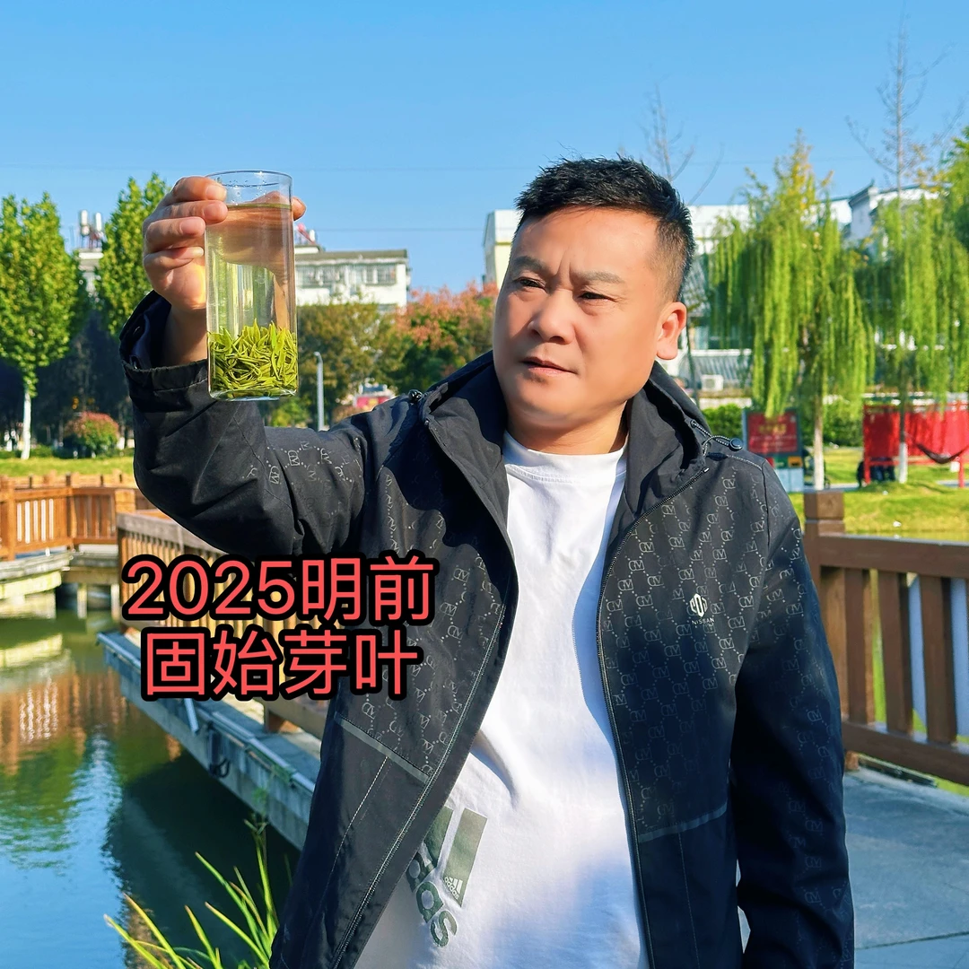 2025信阳毛尖明前固始芽叶