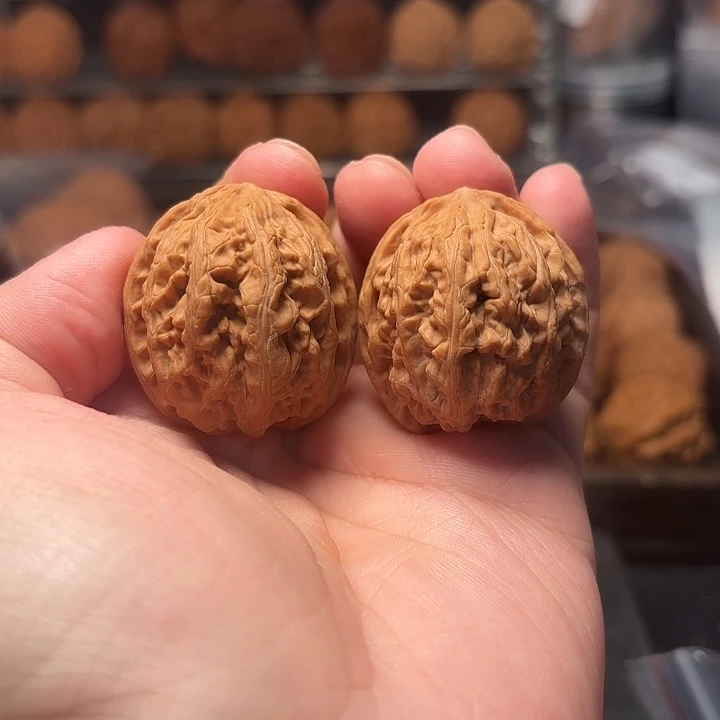 1文玩核桃滚龙纹35-519