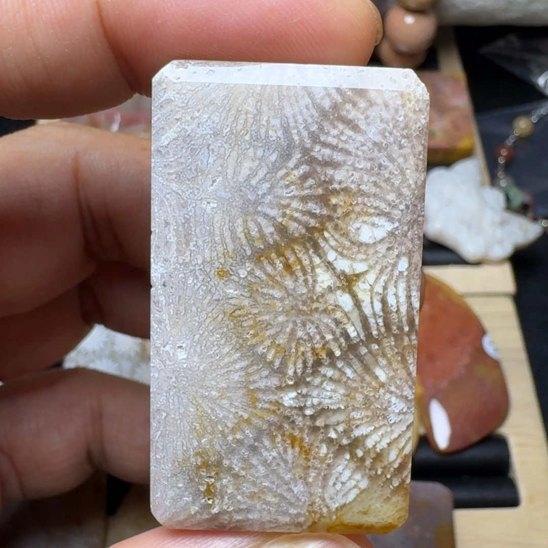硅化玉未镶嵌纯天然色有机玉石保真色