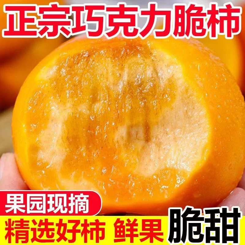 山西阳丰脆柿新鲜应季巧克力脆甜柿子产地直发香甜多汁