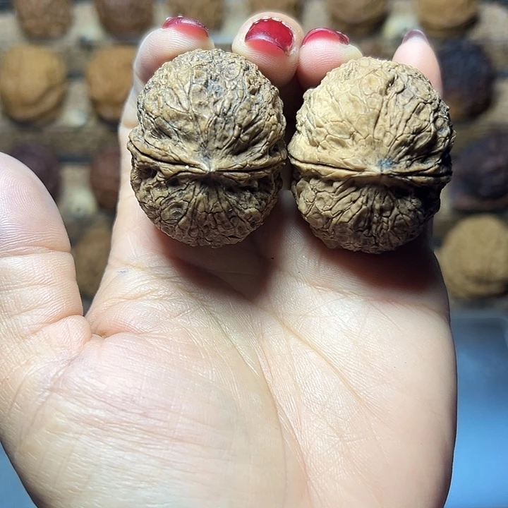 把件文玩核桃227号噬血铁虱40尺