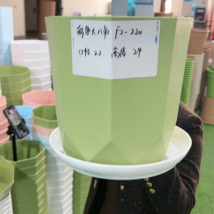 特价八角FZ220口22高24果绿带托4只