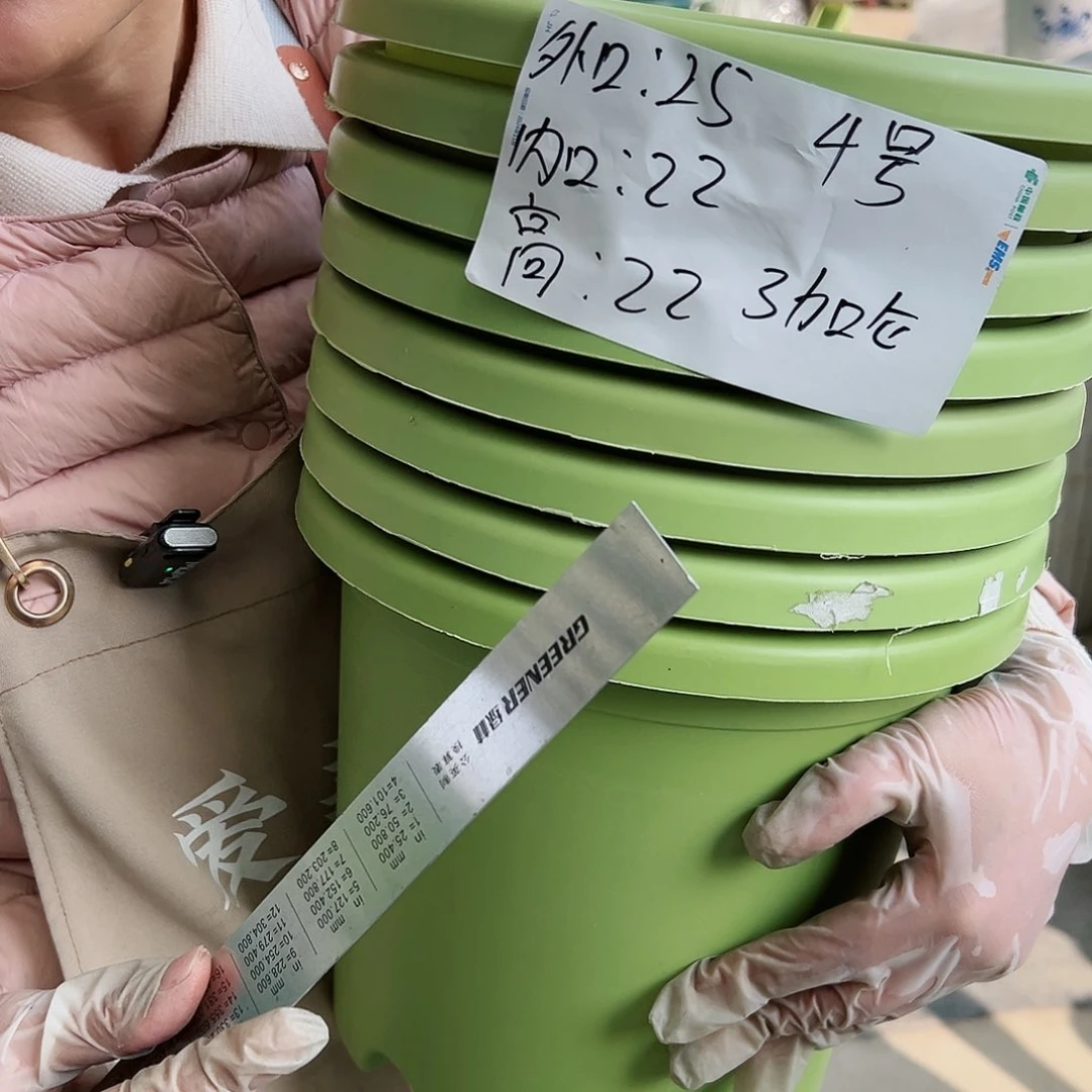 树脂四季4#果绿色8个无托