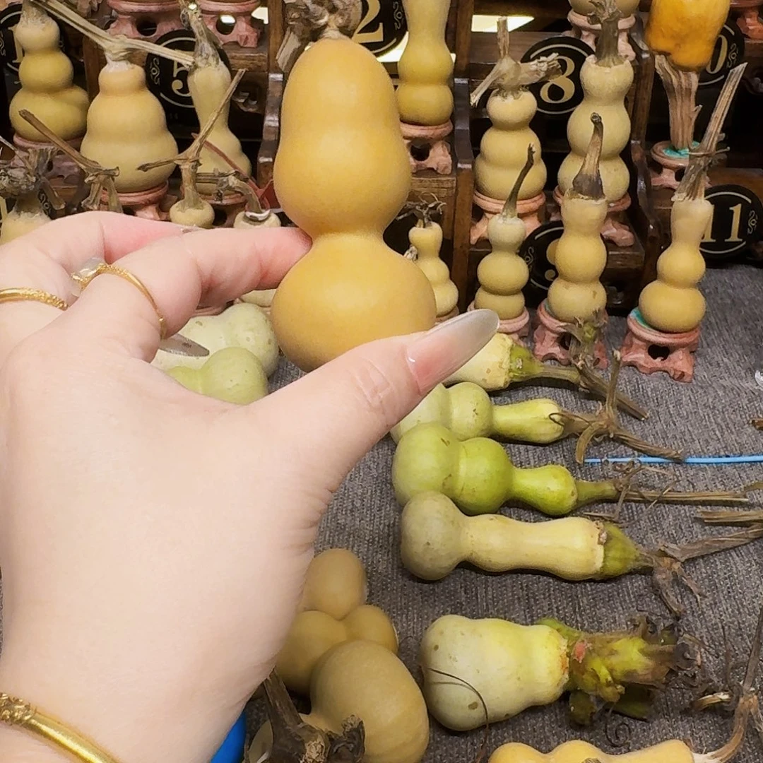 牛***）你也别管别人说我