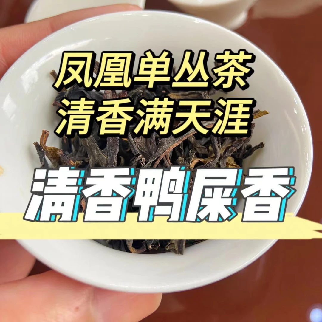 中秋茶礼凤凰单枞茶奶香鸭屎香茶叶凤凰单丛潮州礼盒装500g