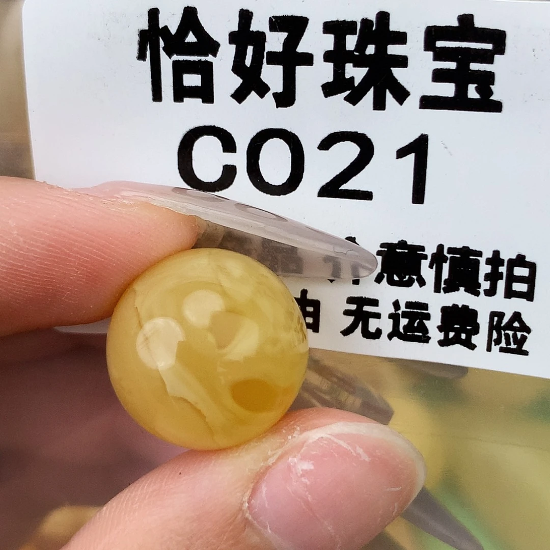 未镶嵌琥珀珠宝奇石16.2植物