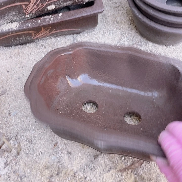 紫砂28莲花倨傲花哦