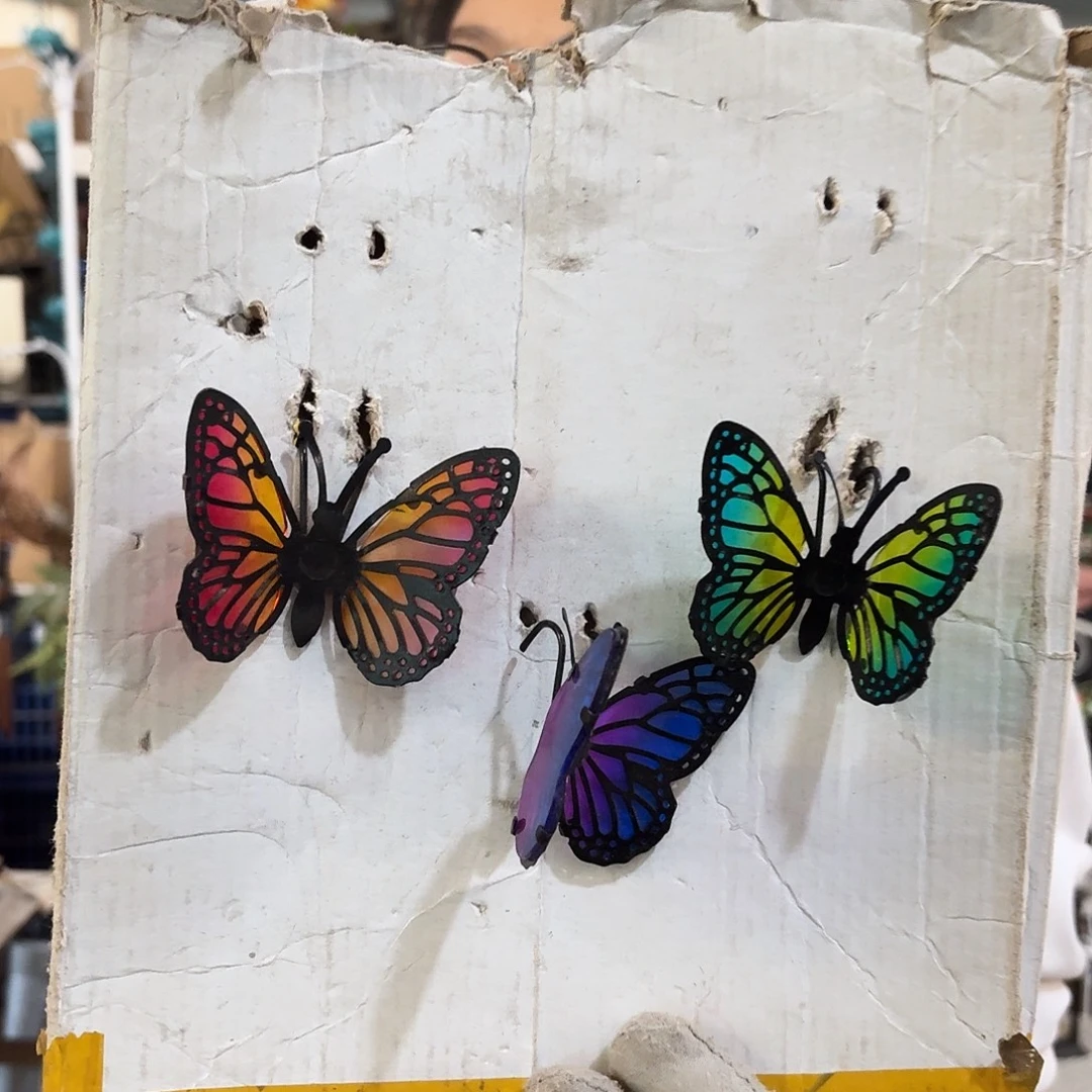 核桃木/黑胡桃（胡桃木）