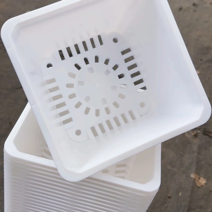 160白方盆15公分高11公分12个