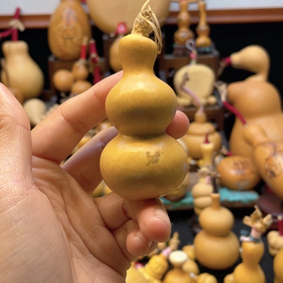 鲨**鱼大自然的秘密是什么呢我