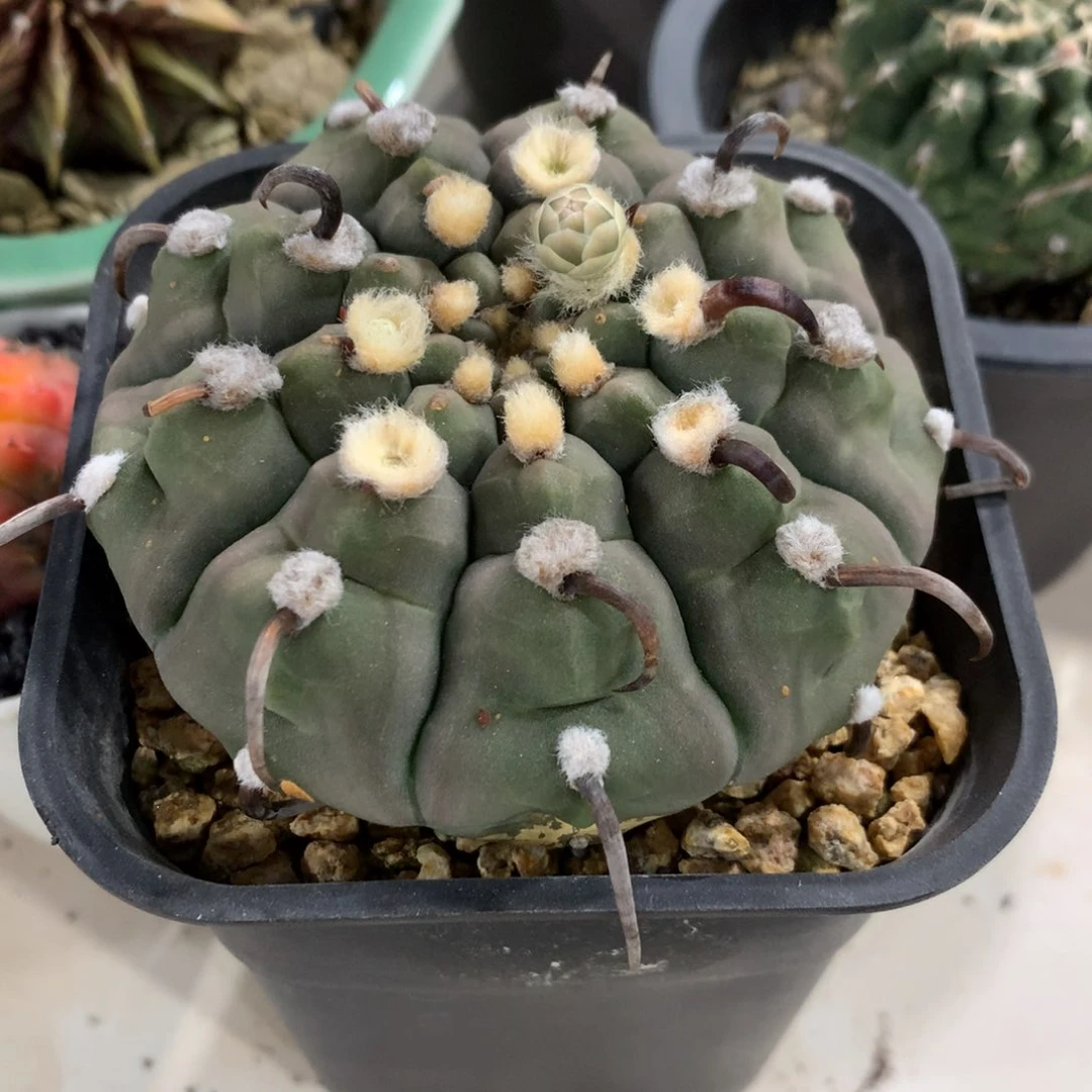 R**n清货一物一拍不退换