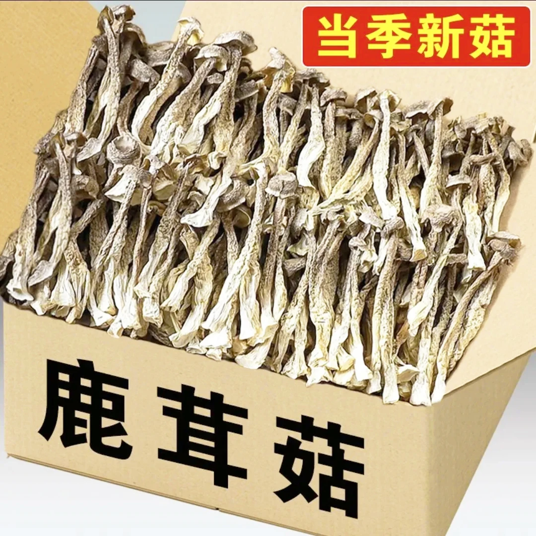 甄选鹿茸菇干货鹿耳菇深山特产鹿耳菇无熏硫煲汤批发商用直发