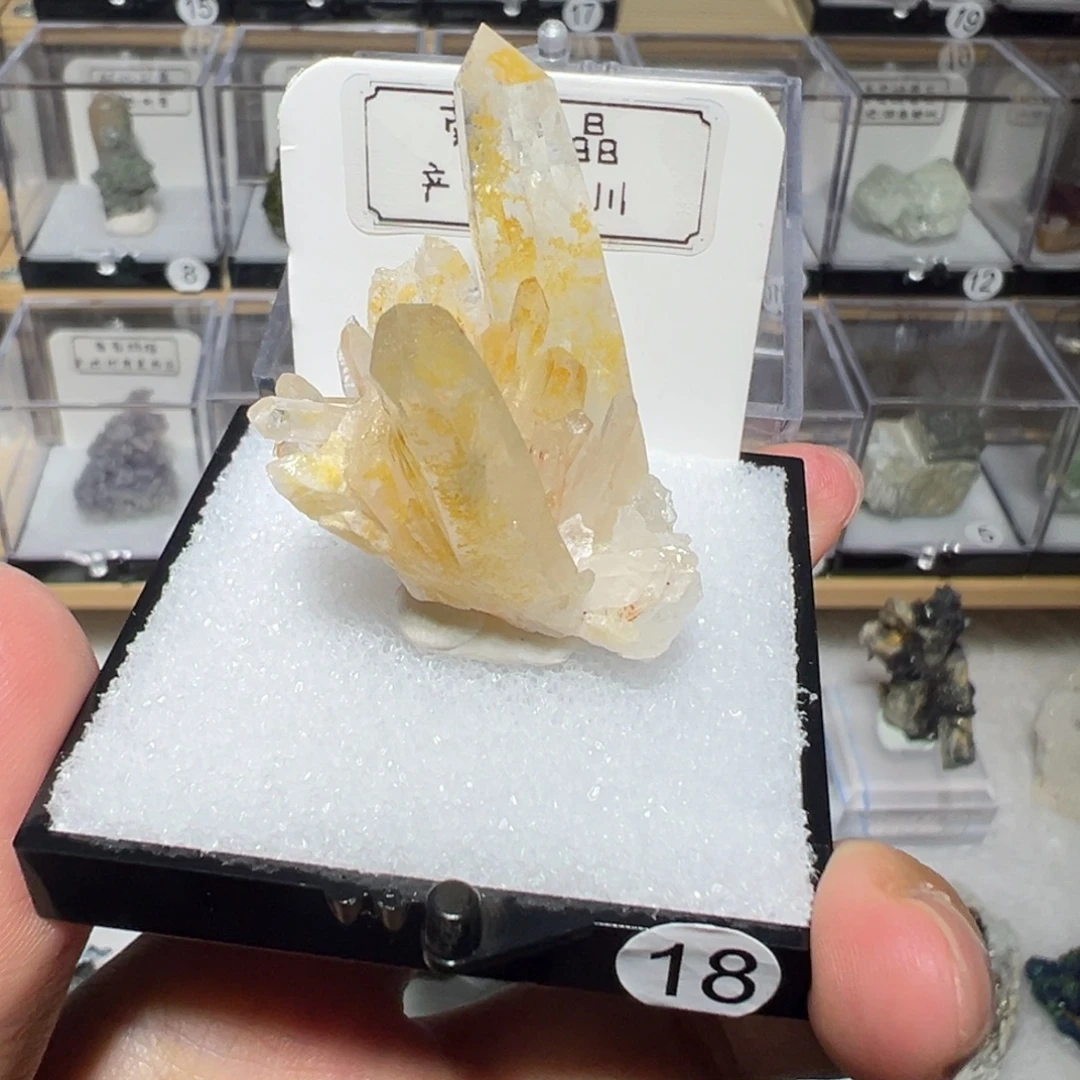 大型摆件（非配饰）紫晶银S925镶嵌