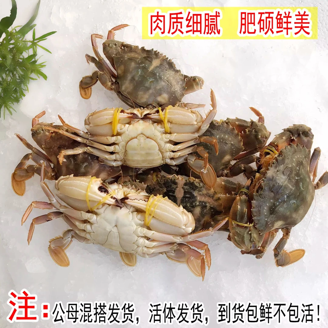 小石头蟹1斤（包鲜不保活）清蒸红烧爆炒都好吃
