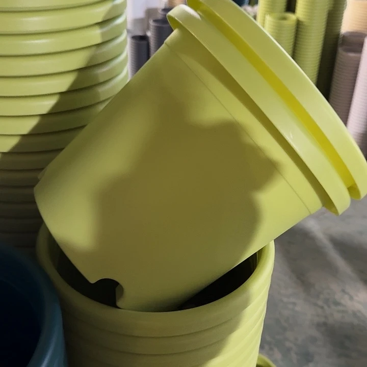 四季4#口径25果绿5个无托