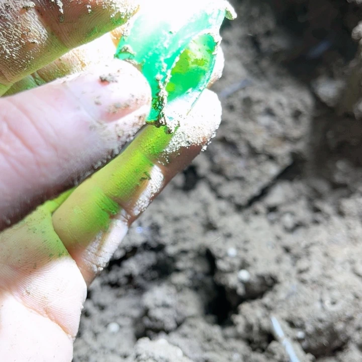 瓷片瓷器艺术家等收藏