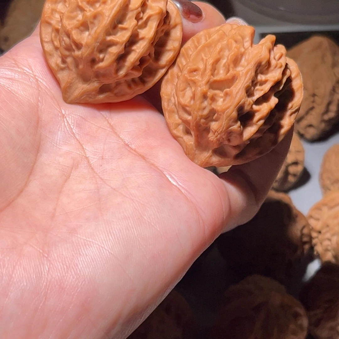 木质类草大龙39全品