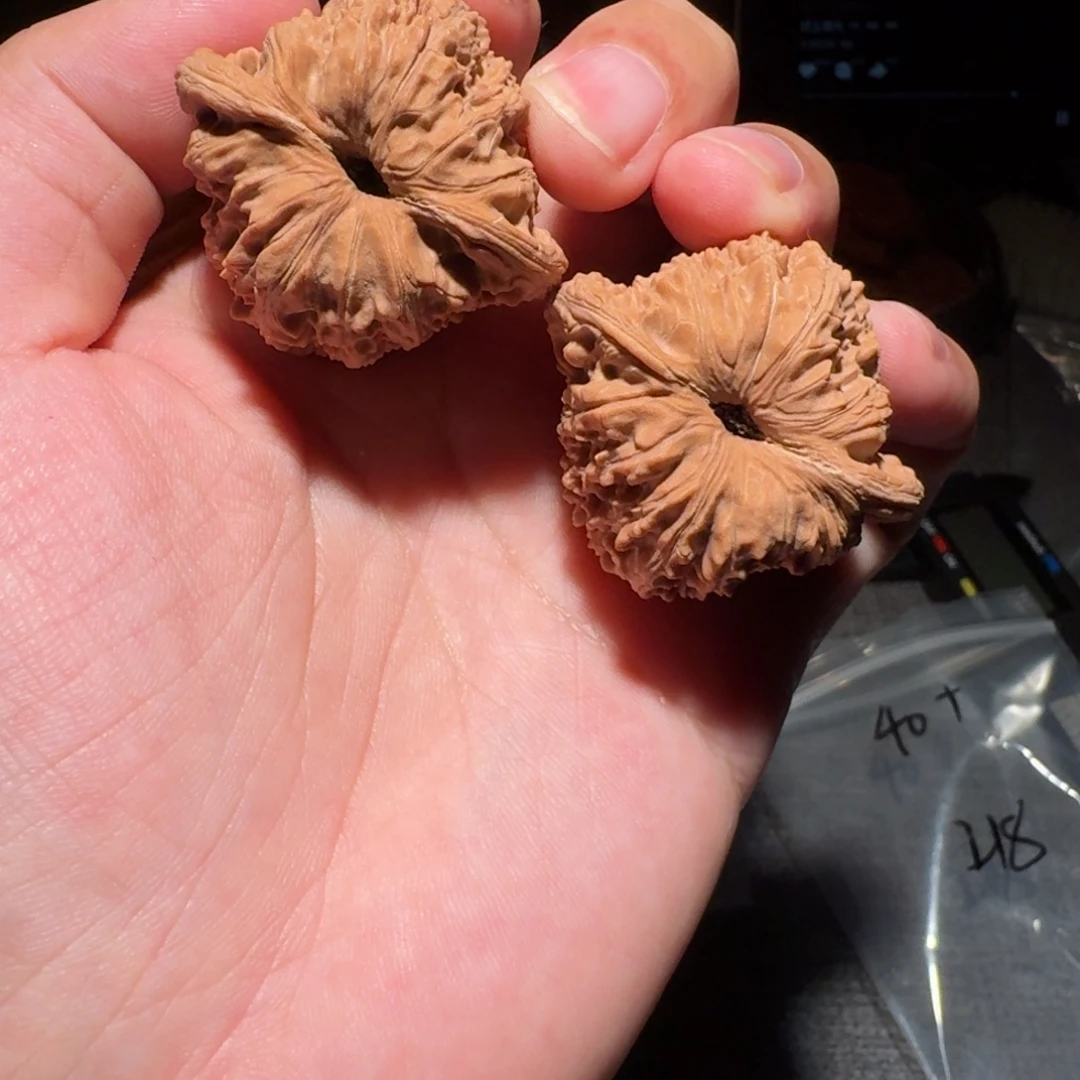 铁***人40 尺全品无修微磕尖蓟县绣球