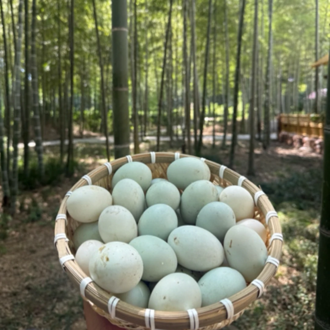 新鲜农家散养土鸭蛋现捡现发