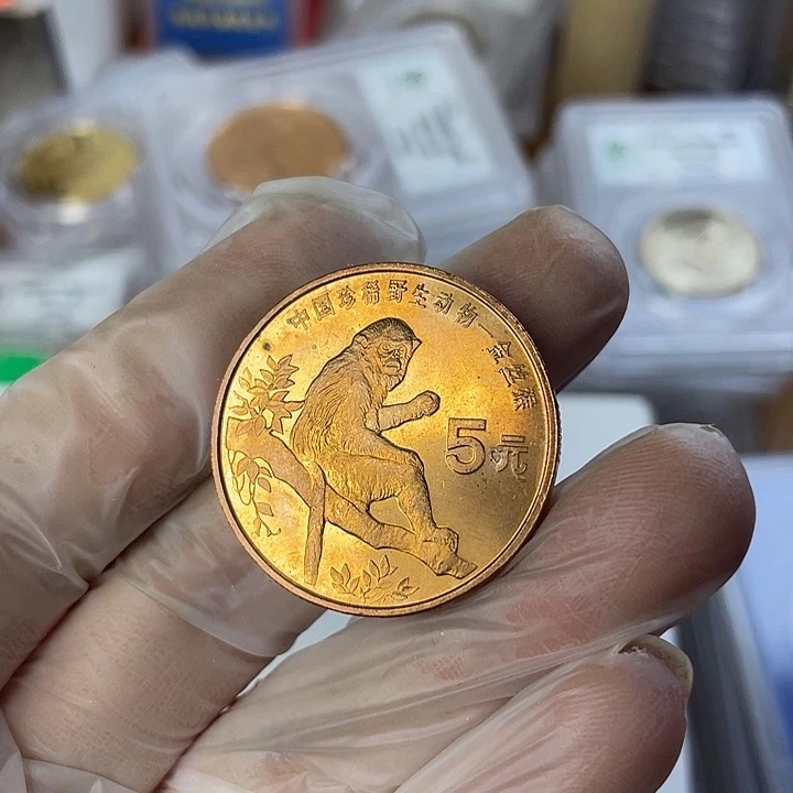 其他普通金属氧化的金丝猴。0003