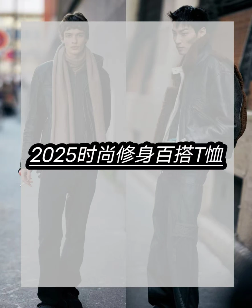 2025早春新款时尚男士短袖T恤2502-2.25 W 达人