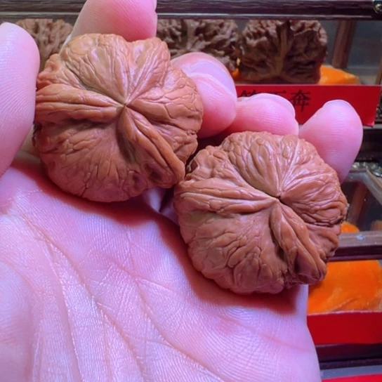 土豪级大牛平谷元宝异形