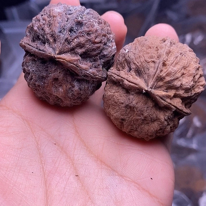 文玩核桃把件   30