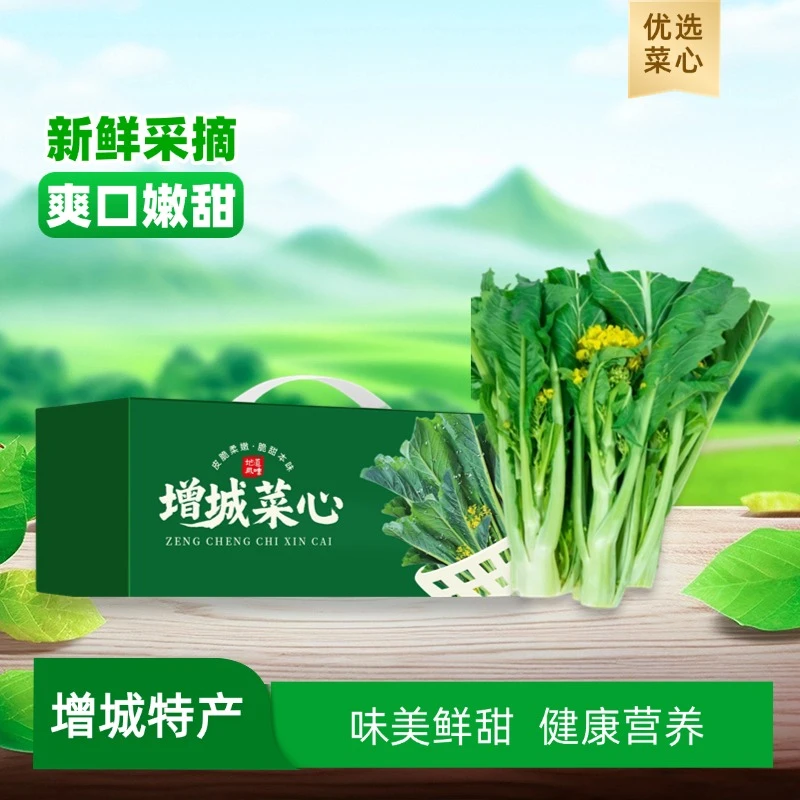 增城迟菜心新鲜高脚菜心嫩脆蔬菜广东省内发顺丰省外发EMS空运