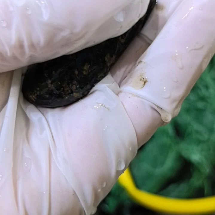 爱***说有机玻璃藏玉药王石原石手把件