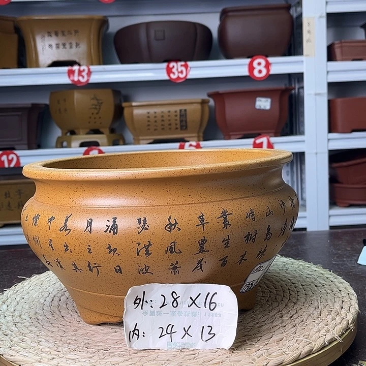 紫砂花盆你们的小