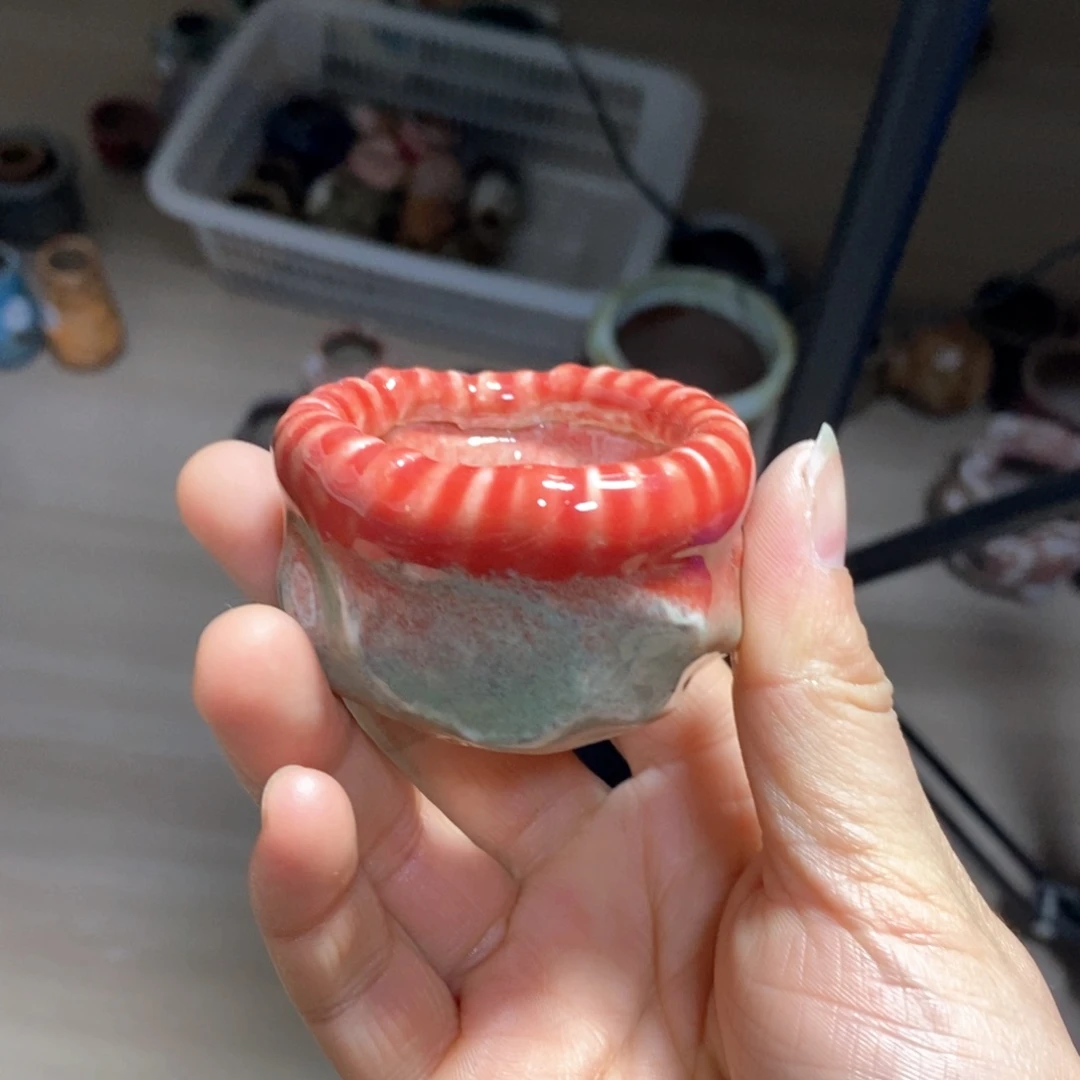 包****F花盆拍5送一个小礼物