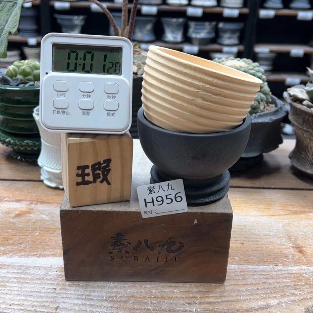 素八九陶瓷内口两个淺*