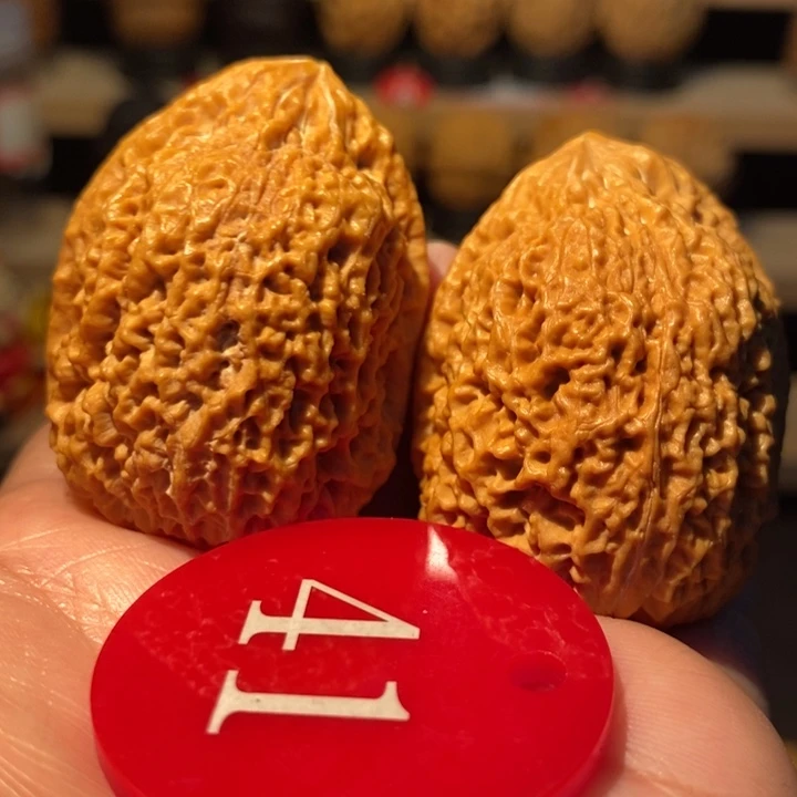 木质类异形，铁南疆36尺寸，鸳鸯嘴福利对