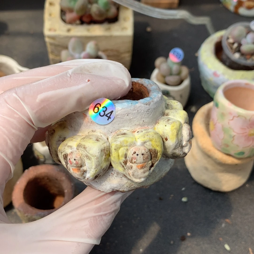 花盆瑕疵特价无售后哈哈哈哈哈634