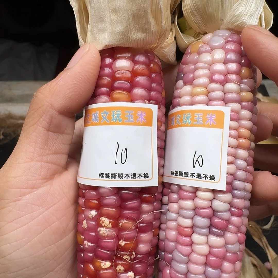 思***歌吊坠柏香籽/百香籽