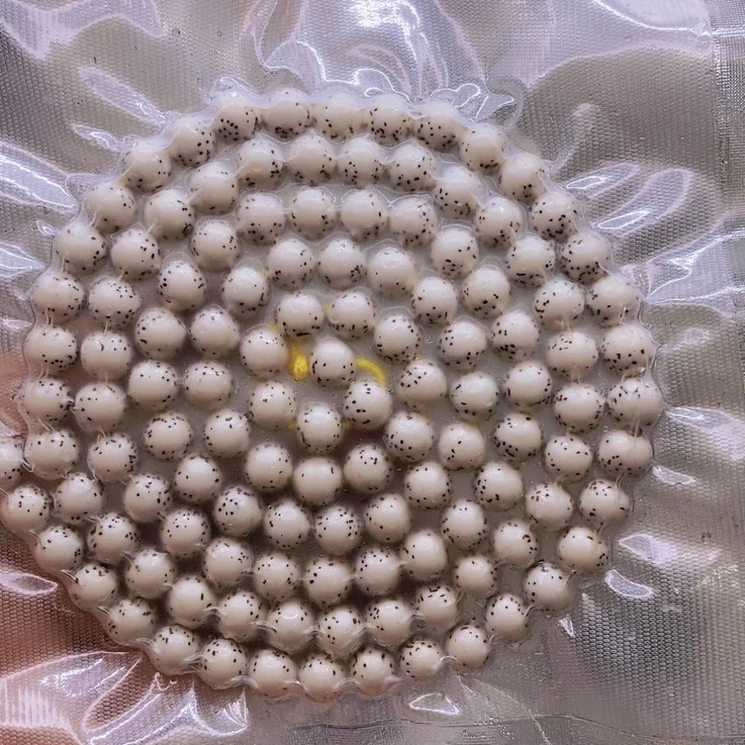 【闪购商品】星月菩提手串來*原白