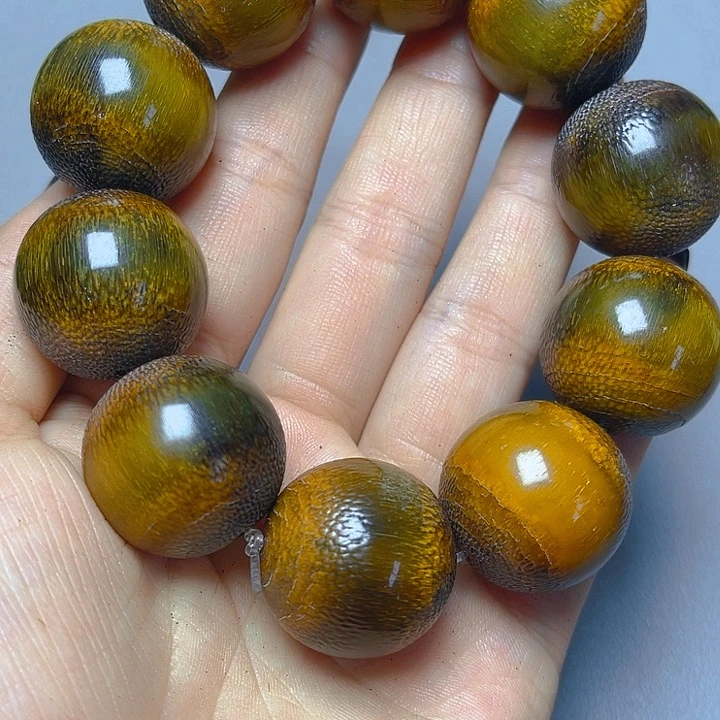 大果紫檀（缅甸花梨）