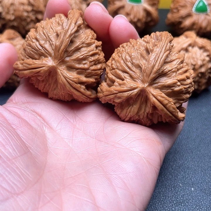 核桃45尺白狮子拼接三棱
