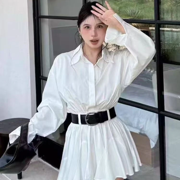 98003韩系POLO领衬衫连衣裙女秋季高级感气质收腰显瘦短裙