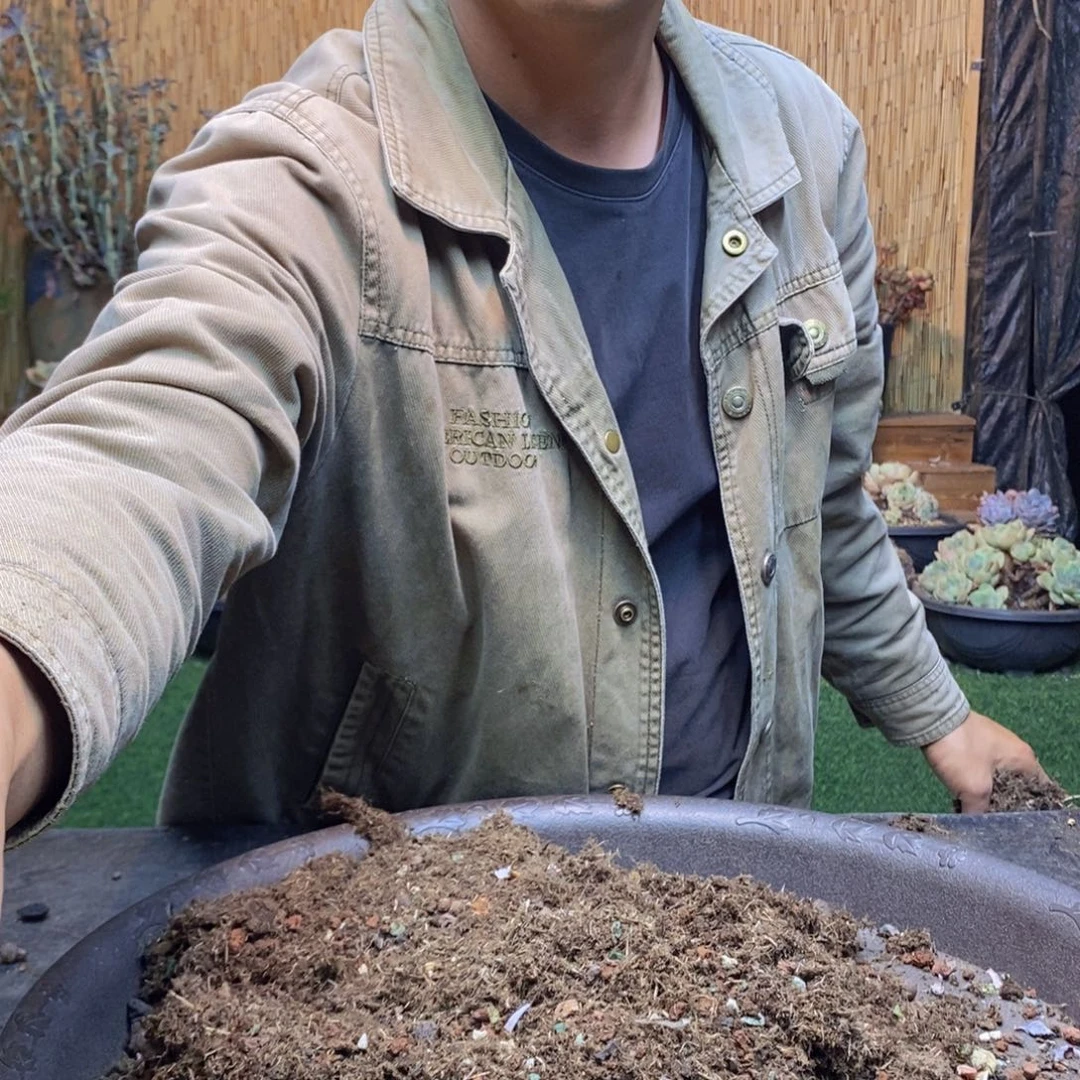 过*153号雪莲多肉