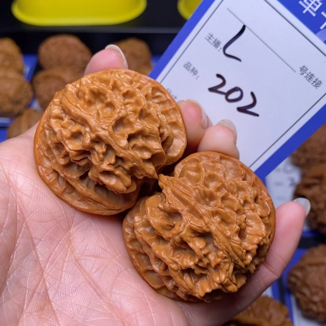 文玩核桃把件44苹果园202